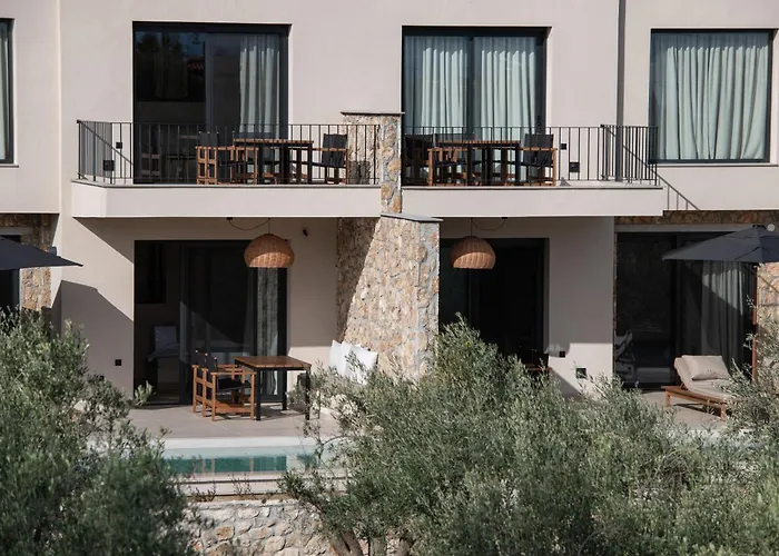 Olivera 公寓 萨尔蒂